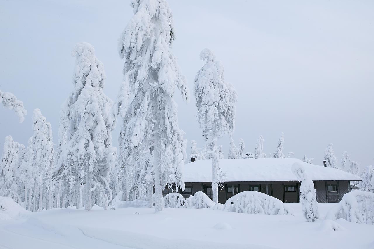 Jaettilaeisenmaa Hotel Paltamo Exterior photo